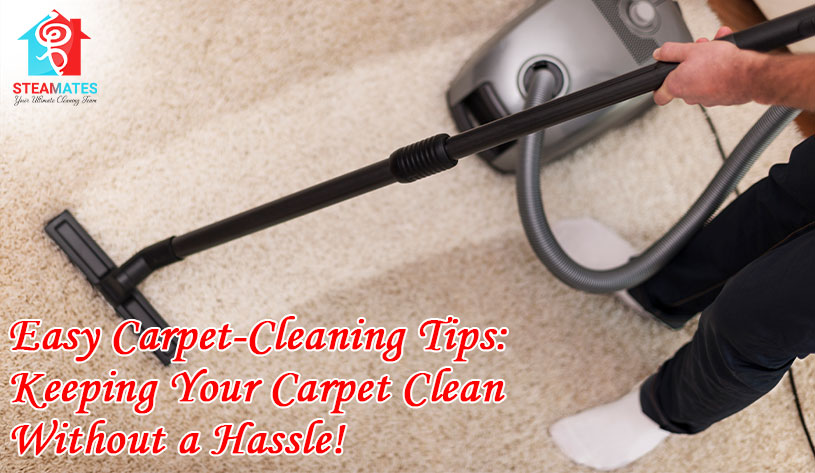 Easy Carpet Cleaning Tips Keeping Your Carpet Clean Without a Hassle