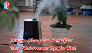 How to Clean your Humidifier Easy Maintenance Tips for You