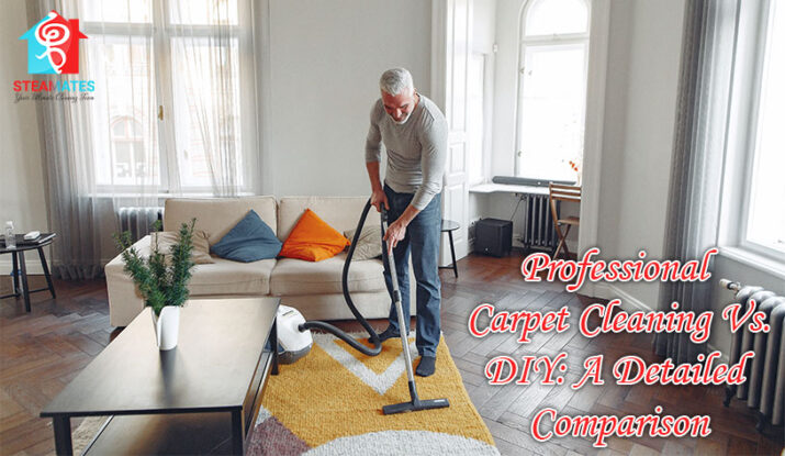 Professional Carpet Cleaning Vs DIY A Detailed Comparison 1