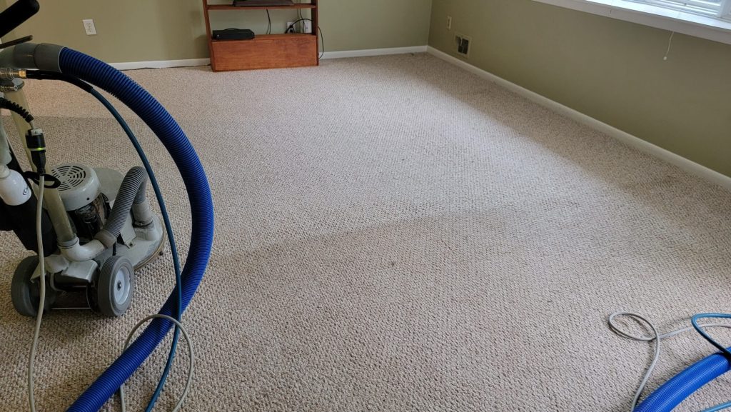 Carpet cleaning - Carpet