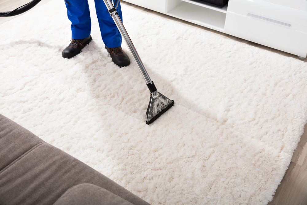 Carpet cleaning - Carpet